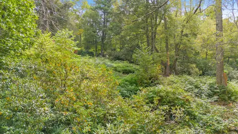0 Sherwood Frst, Franklin, NC 28734 photo 4