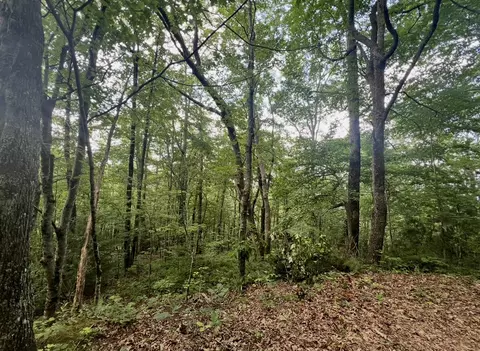 0 Strawberry Br, Scaly Mountain, NC 28775 photo 1