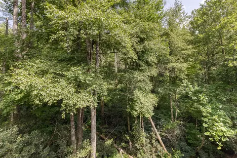 Other - 1081 B Hicks Rd #4, Highlands, NC 28741 photo 7 of 8
