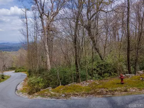 6768 Double Branch Rd, Highlands, NC 28741 photo 3