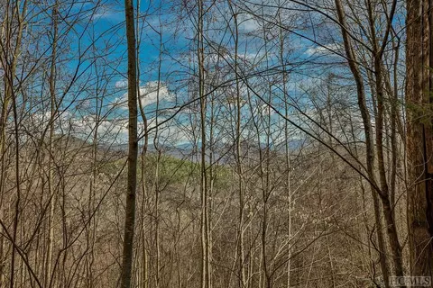 lot47 Yellow Palmer Ln, Tuckasegee, NC 28783