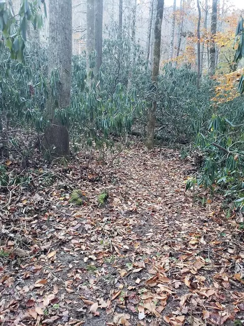 13 Hares Ear, Tuckasegee, NC 28783 photo 12