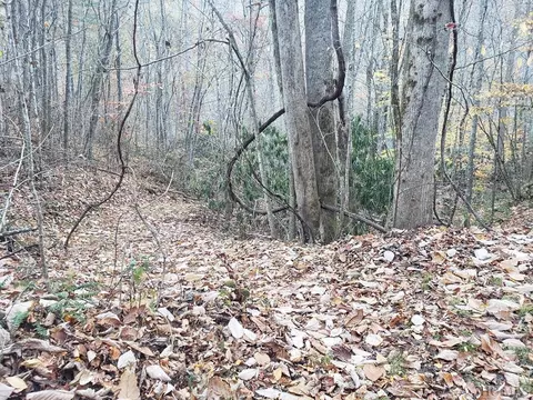 13 Hares Ear, Tuckasegee, NC 28783 photo 10