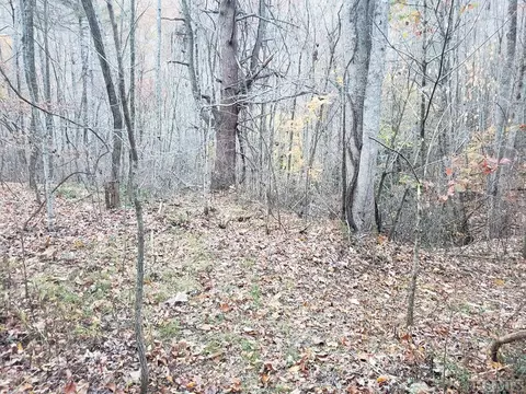 13 Hares Ear, Tuckasegee, NC 28783 photo 11
