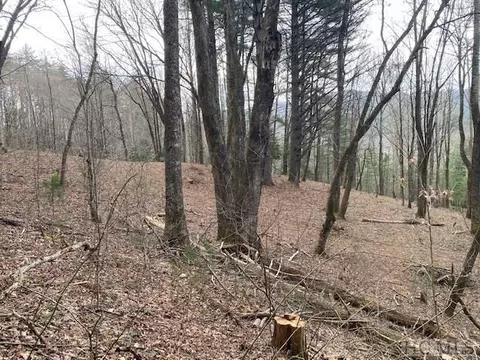 478 Windy Gap Rd, Cullowhee, NC 28723 photo 5