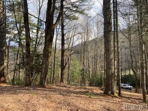 478 Windy Gap Rd, Cullowhee, NC 28723 photo 10