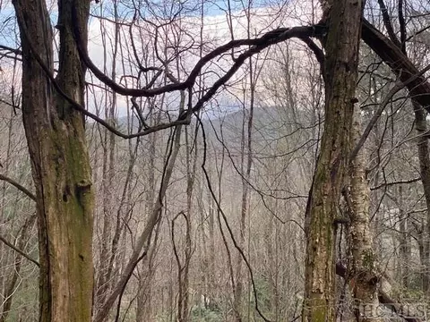 478 Windy Gap Rd, Cullowhee, NC 28723 photo 4
