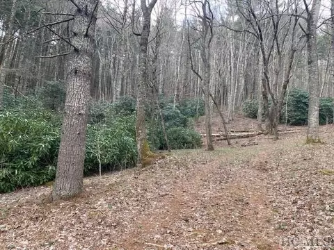 478 Windy Gap Rd, Cullowhee, NC 28723 photo 2