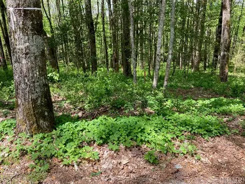 tbd Barratt Ln, Highlands, NC 28741 photo 4