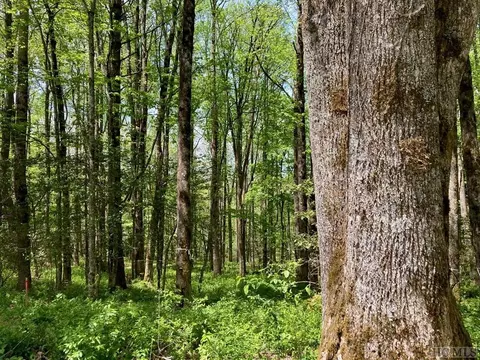 tbd Barratt Ln, Highlands, NC 28741