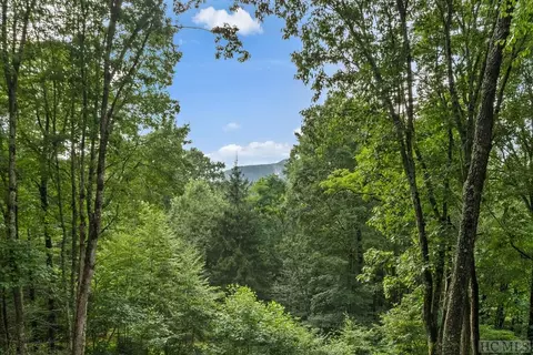 2050 Highlands Cove Dr, Highlands, NC 28741 photo 38