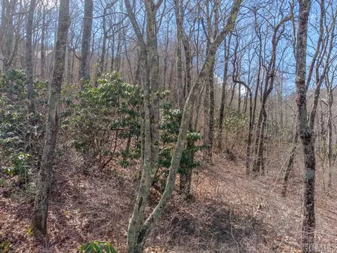 173174 Pinehurst Ct, Highlands, NC 28741 photo 12