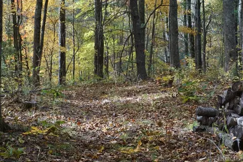 lot1 Ancient Way, Highlands, NC 28741 photo 2