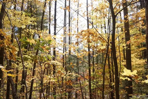 lot1 Ancient Way, Highlands, NC 28741 photo 4