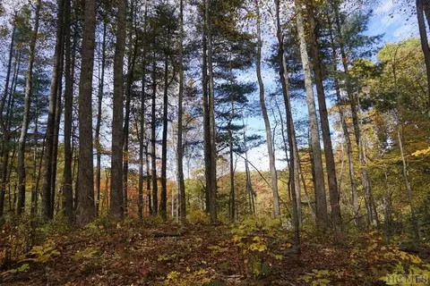 lot1 Ancient Way, Highlands, NC 28741 photo 5