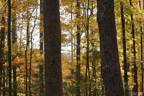 lot1 Ancient Way, Highlands, NC 28741