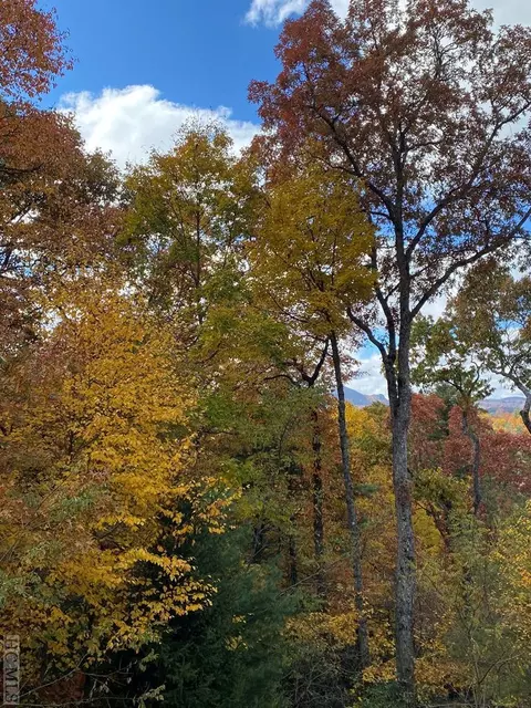 E8 Chimney Top, Cashiers, NC 28717