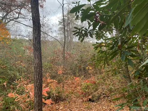 lot6 Wildfowl Way, Cashiers, NC 28717