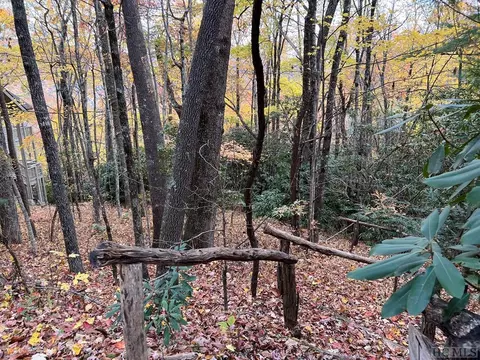 lot81 Bald Eagle Ct, Sapphire, NC 28774 photo 5
