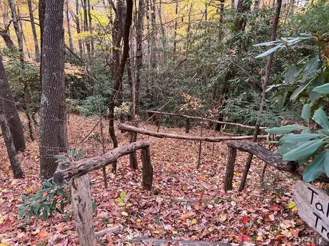 lot81 Bald Eagle Ct, Sapphire, NC 28774 photo 4