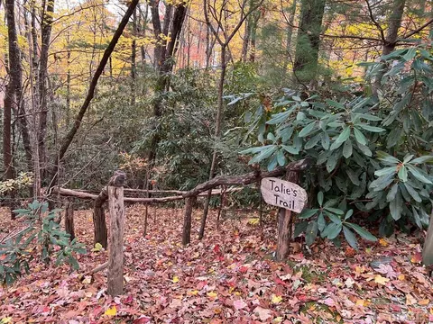 lot81 Bald Eagle Ct, Sapphire, NC 28774 photo 2