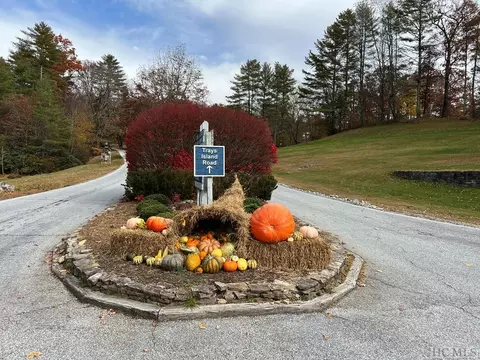 lot81 Bald Eagle Ct, Sapphire, NC 28774 photo 7