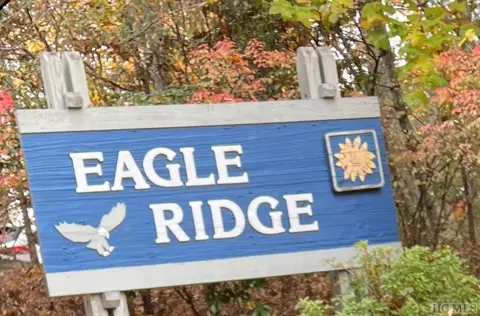 lot81 Bald Eagle Ct, Sapphire, NC 28774 photo 8