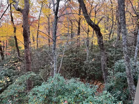 lot81 Bald Eagle Ct, Sapphire, NC 28774 photo 6