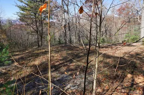 None Silly Ridge Road, Scaly Mountain, NC 28775 photo 4