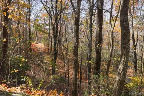 None Silly Ridge Road, Scaly Mountain, NC 28775 photo 5
