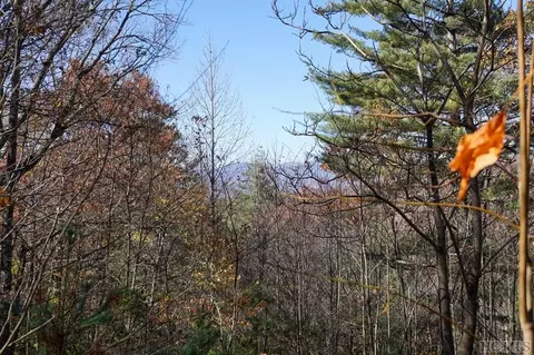 None Silly Ridge Road, Scaly Mountain, NC 28775 photo 2