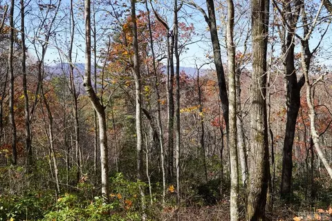 None Silly Ridge Road, Scaly Mountain, NC 28775 photo 3