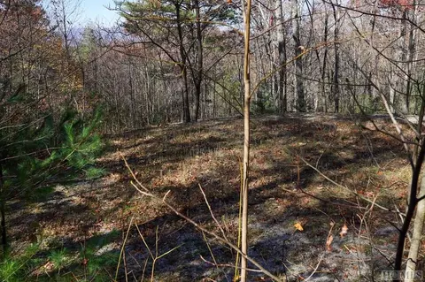 None Silly Ridge Road, Scaly Mountain, NC 28775 photo 6
