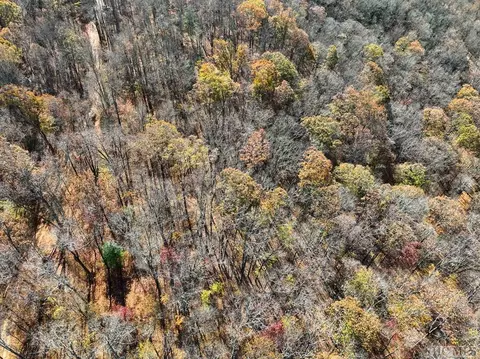 Na High Point View Road, Scaly Mountain, NC 28775 photo 6
