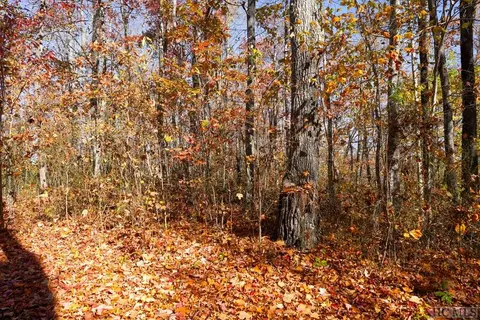 Na High Point View Road, Scaly Mountain, NC 28775 photo 3