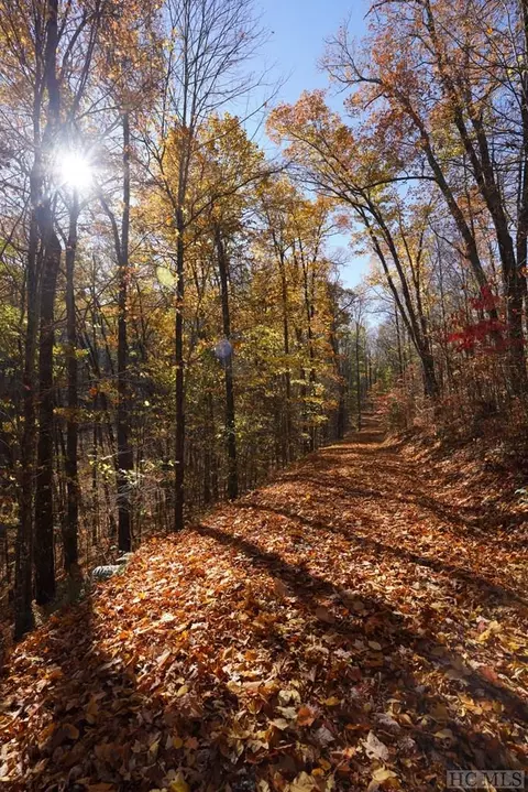 Na High Point View Road, Scaly Mountain, NC 28775 photo 2
