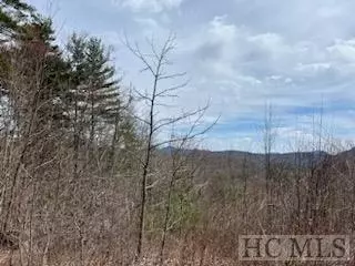 0 Brahman Ln, Cashiers, NC 28723 photo 4