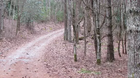 0 Brahman Ln, Cashiers, NC 28723 photo 5