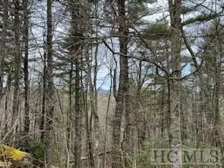 0 Brahman Ln, Cashiers, NC 28723 photo 3