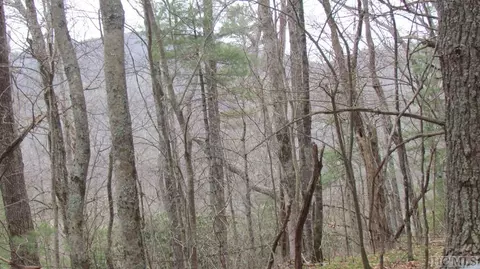 0 Brahman Ln, Cashiers, NC 28723 photo 6