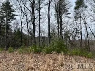 0 Brahman Ln, Cashiers, NC 28723 photo 8