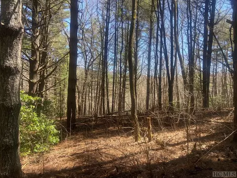 441 Receptive Dr, Glenville, NC 28736