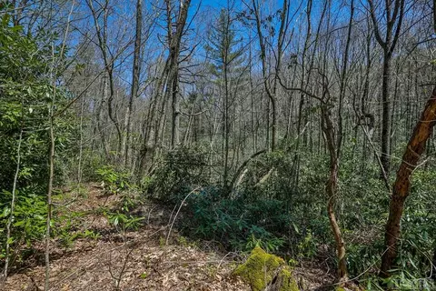 lot34 Streamside Ln, Highlands, NC 28741 photo 24