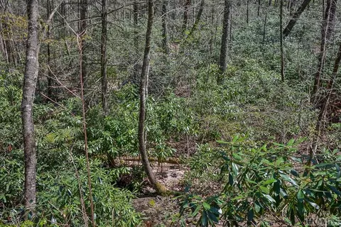 lot34 Streamside Ln, Highlands, NC 28741 photo 39