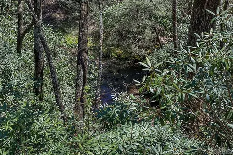 lot34 Streamside Ln, Highlands, NC 28741 photo 31