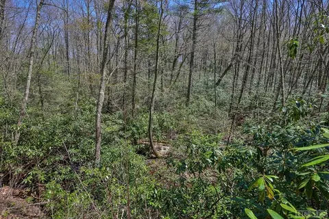 lot34 Streamside Ln, Highlands, NC 28741 photo 38