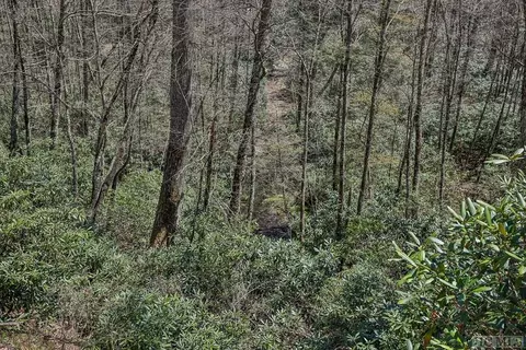 lot34 Streamside Ln, Highlands, NC 28741 photo 26