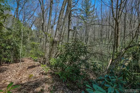 lot34 Streamside Ln, Highlands, NC 28741 photo 21