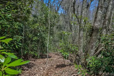 lot34 Streamside Ln, Highlands, NC 28741 photo 22