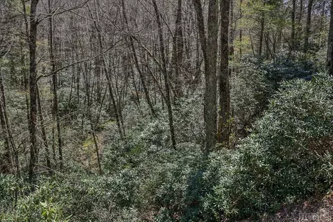 lot34 Streamside Ln, Highlands, NC 28741 photo 28